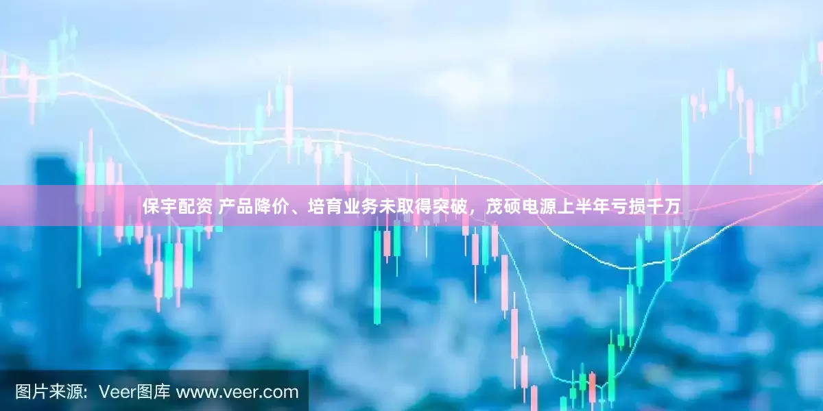 保宇配资 产品降价、培育业务未取得突破，茂硕电源上半年亏损千万
